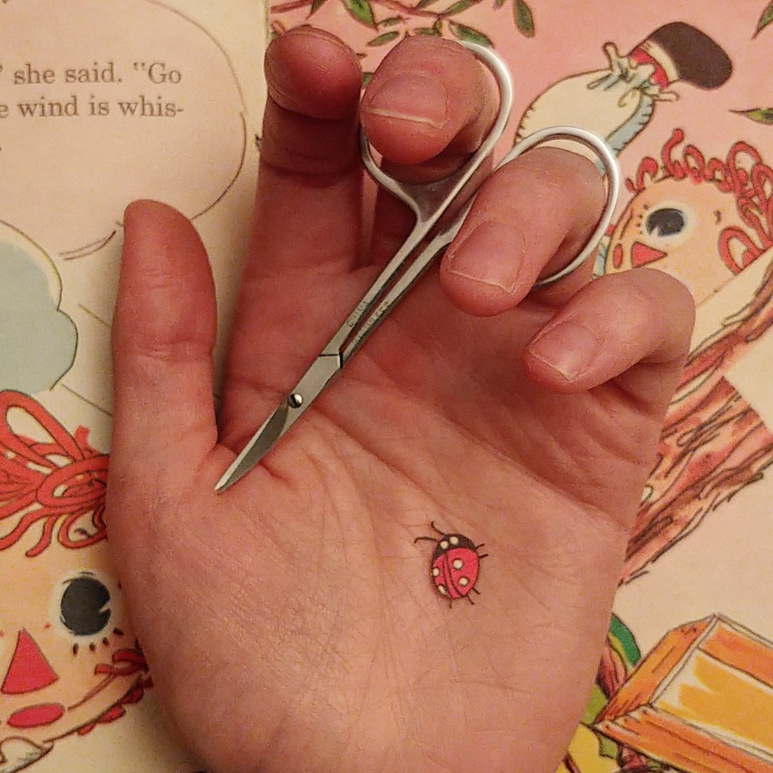 IMG_20190405_213311_520