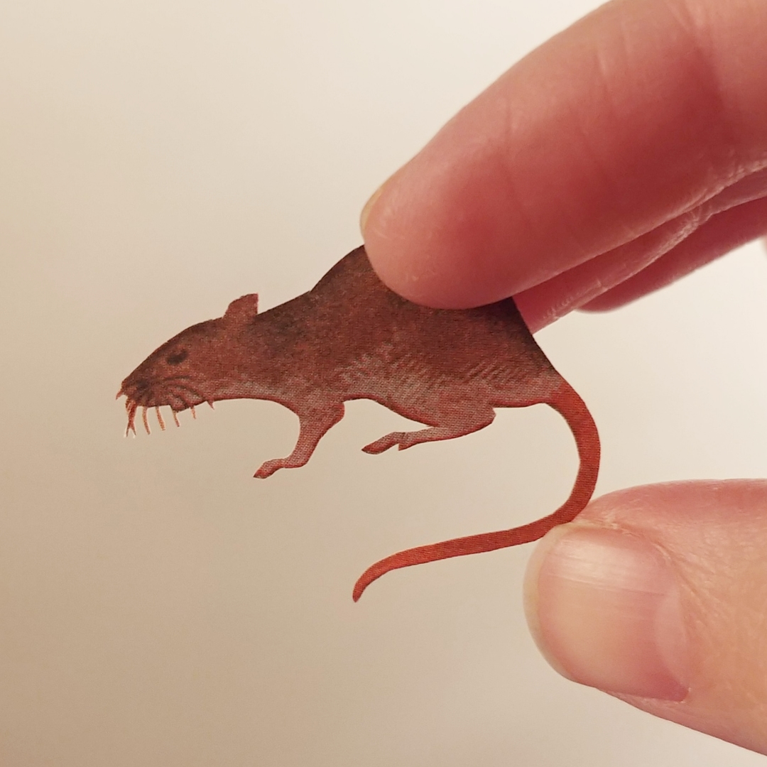 IMG_20191121_172640_560