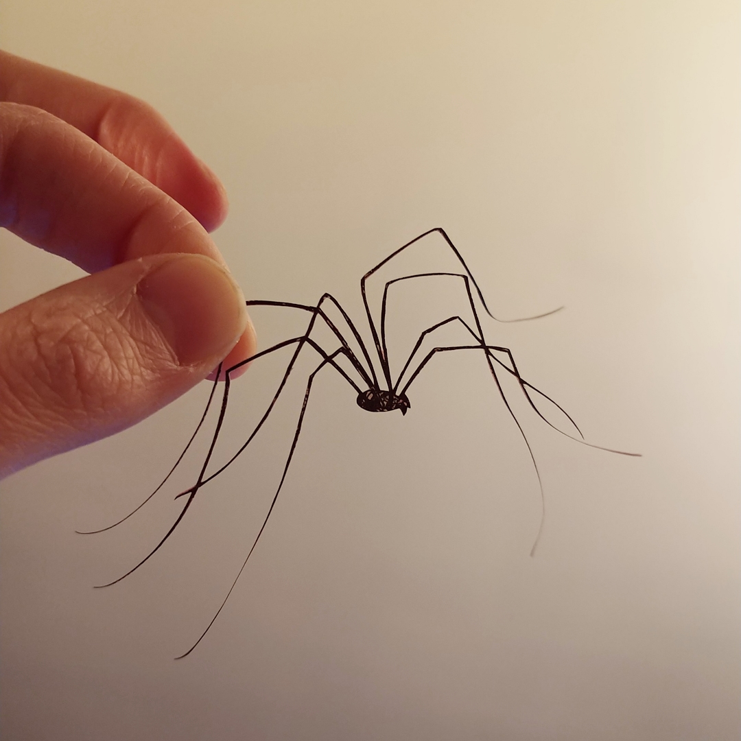 IMG_20191122_180841_831