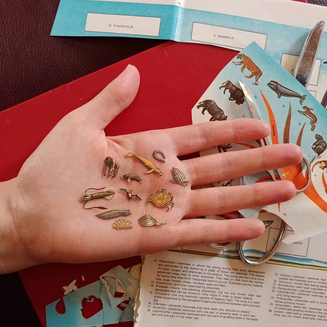 IMG_20200310_100045_195